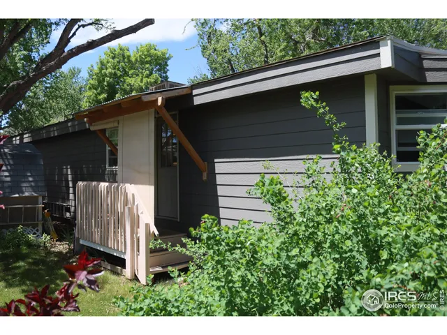 a view of small garden from a yard