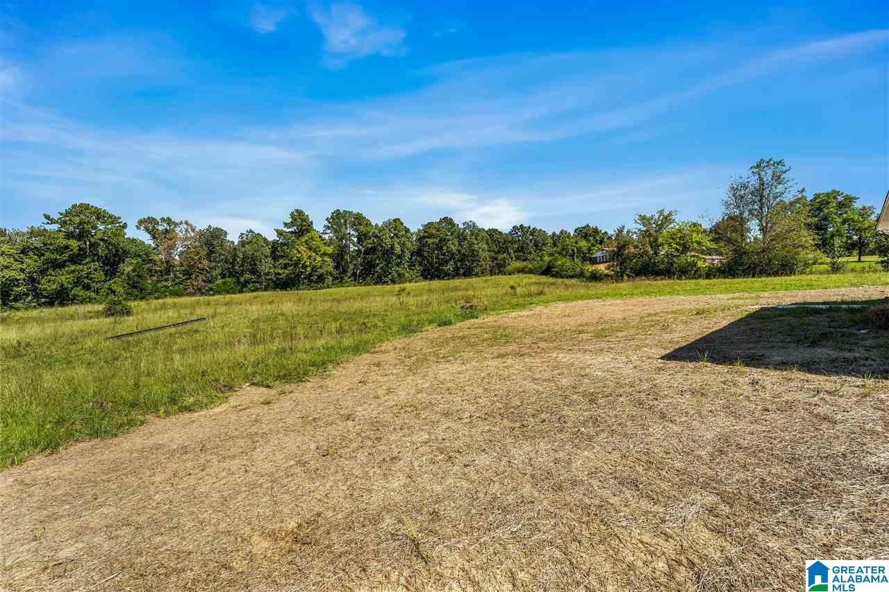 523 Hollingsworth Road Cleveland, AL 35049 - Photo 26 of 26