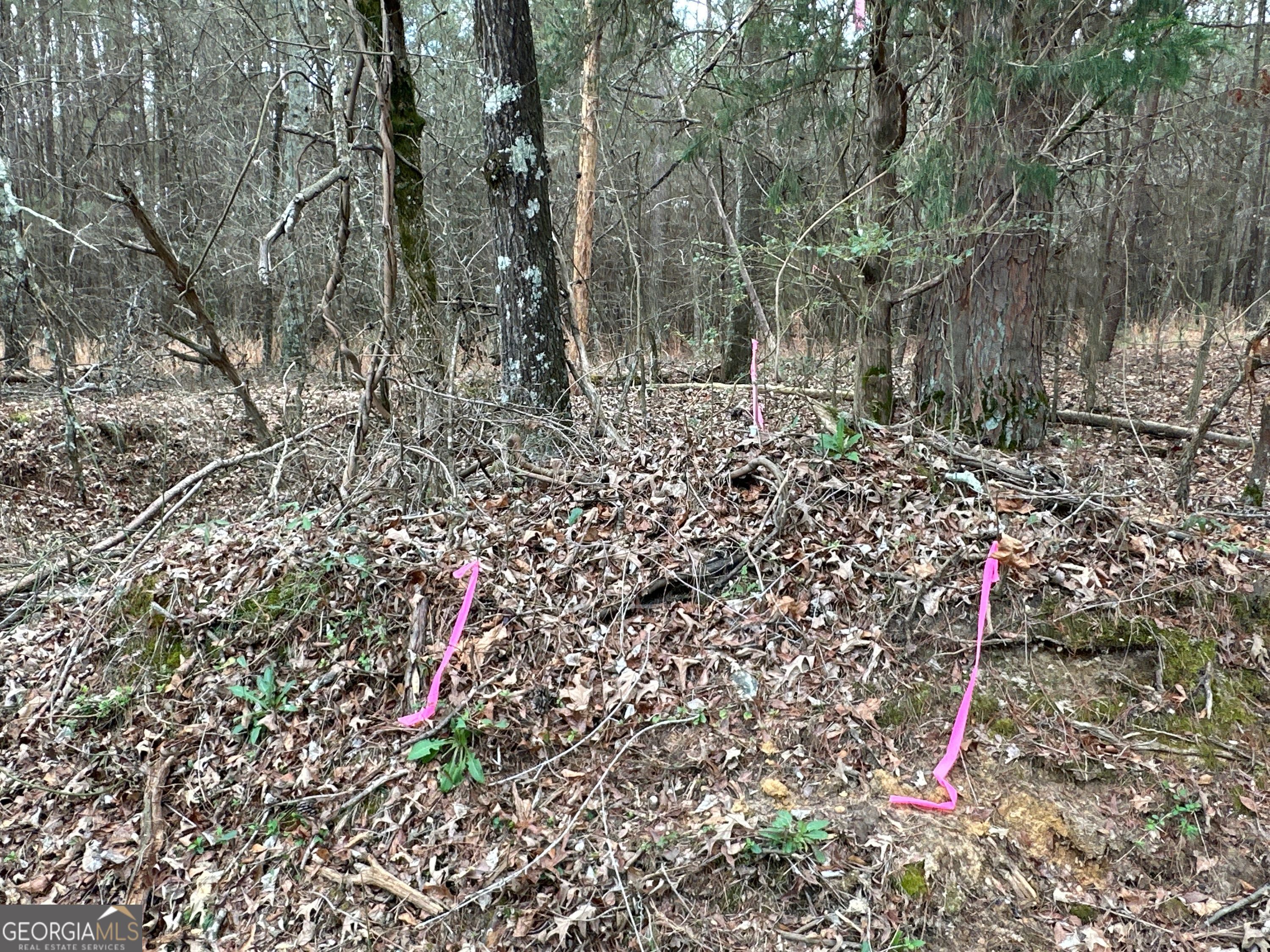 0 Popham Road, Unit TRACT 3 Taylorsville, GA 30178 - Photo 11 of 25