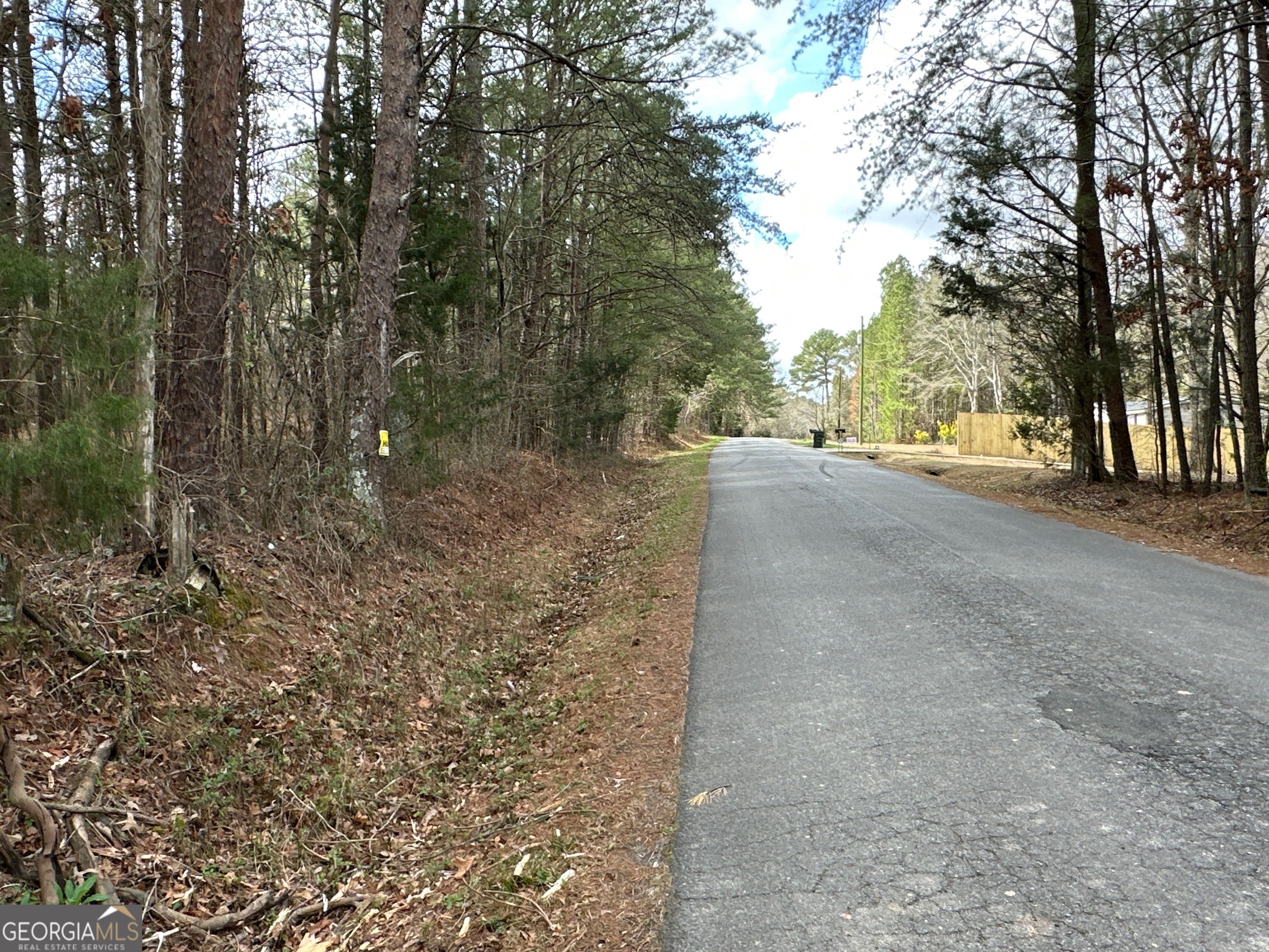 0 Popham Road, Unit TRACT 3 Taylorsville, GA 30178 - Photo 12 of 25