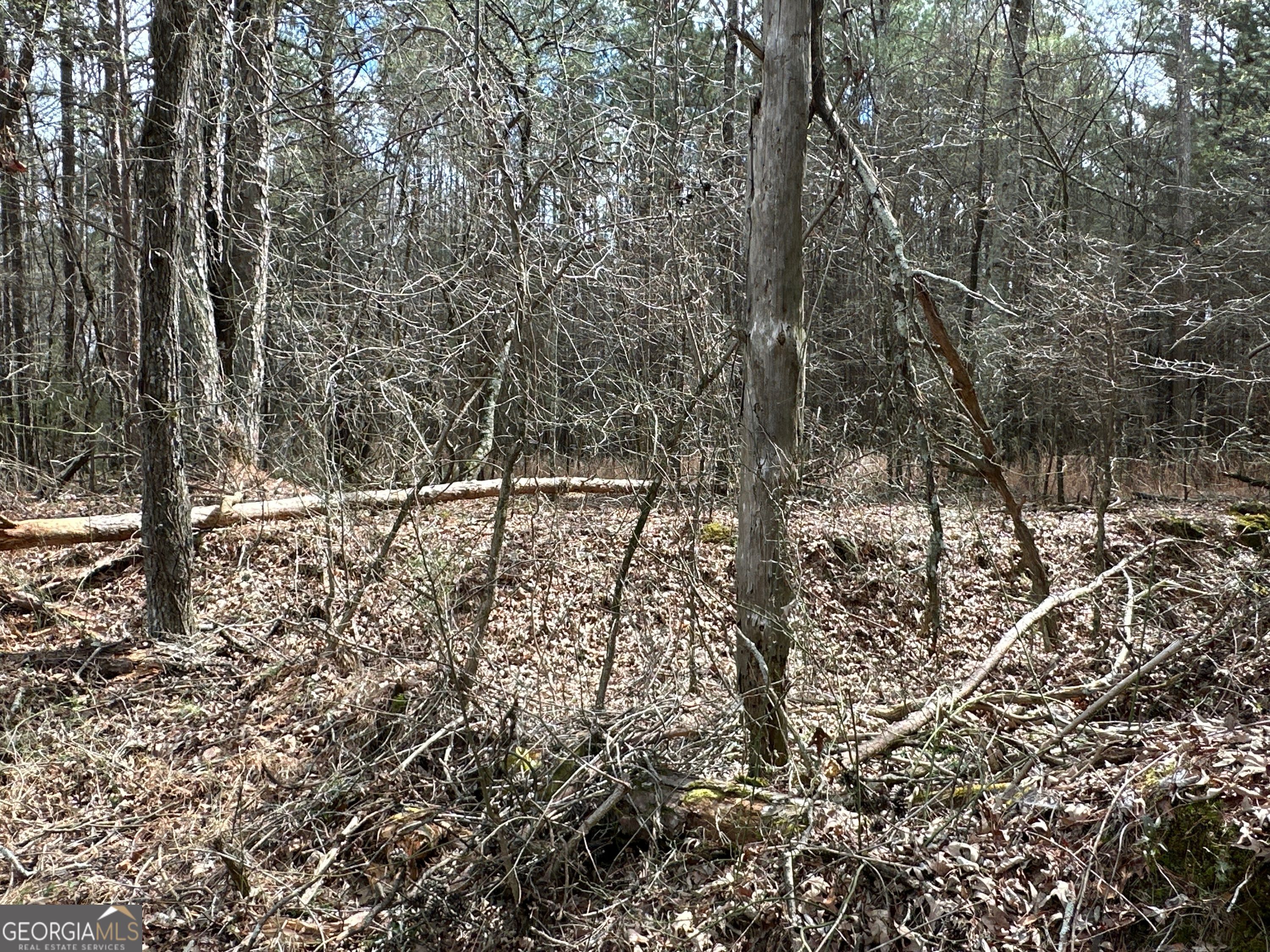 0 Popham Road, Unit TRACT 3 Taylorsville, GA 30178 - Photo 14 of 25