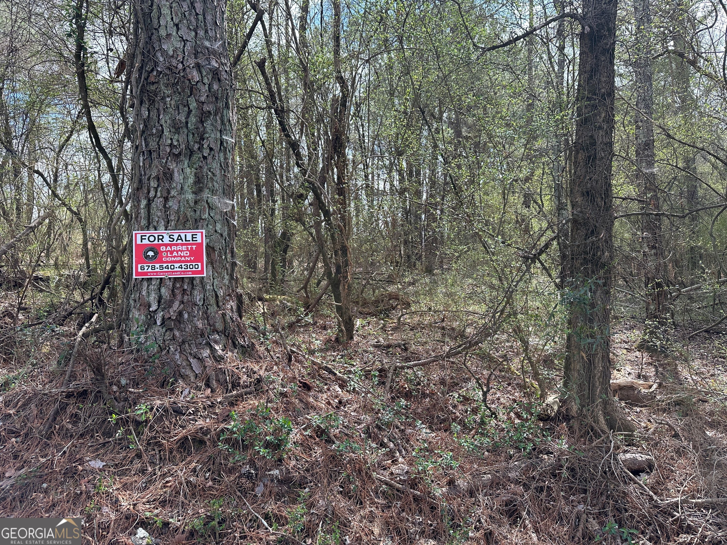 0 Popham Road, Unit TRACT 3 Taylorsville, GA 30178 - Photo 15 of 25