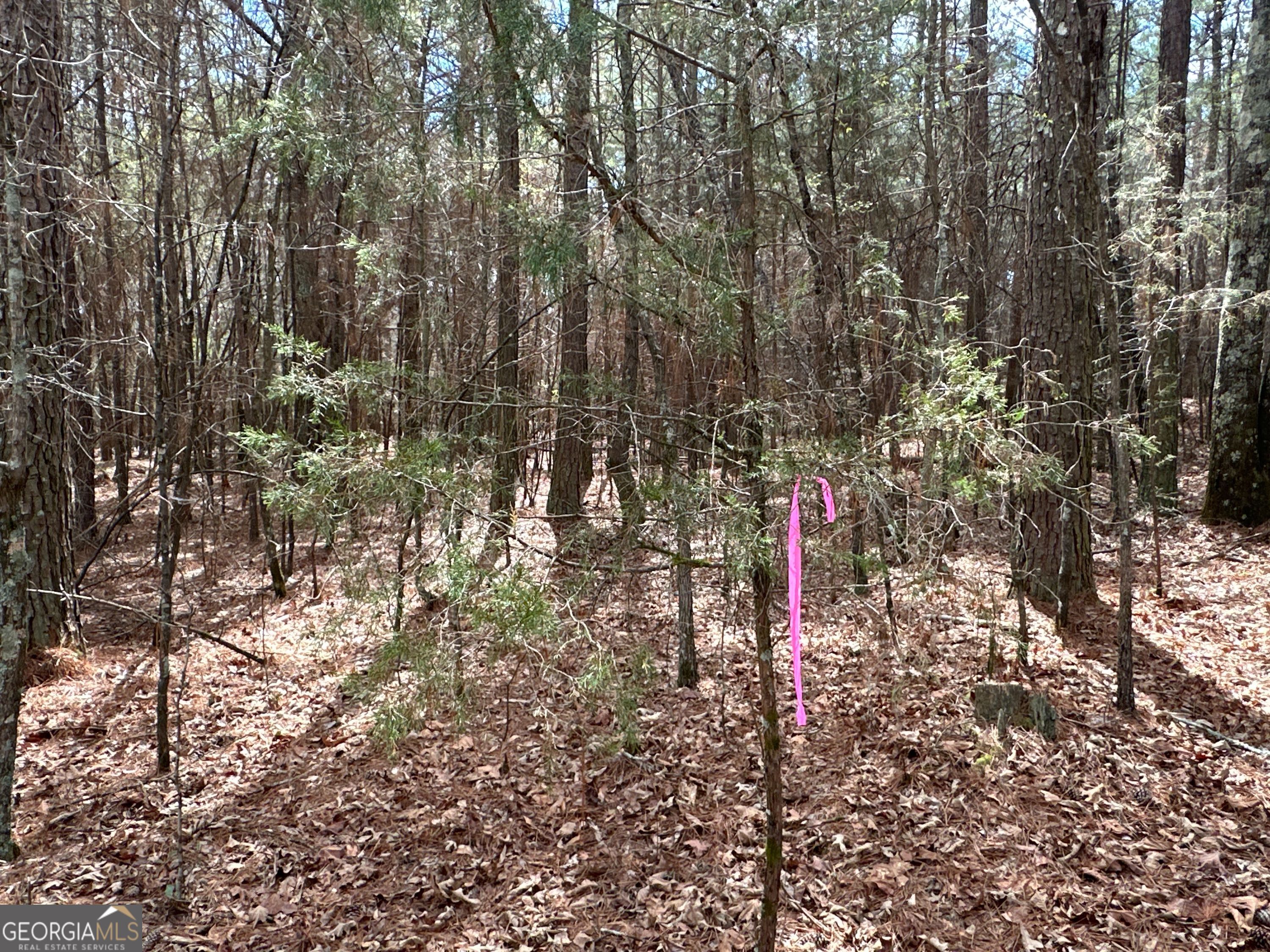 0 Popham Road, Unit TRACT 3 Taylorsville, GA 30178 - Photo 17 of 25