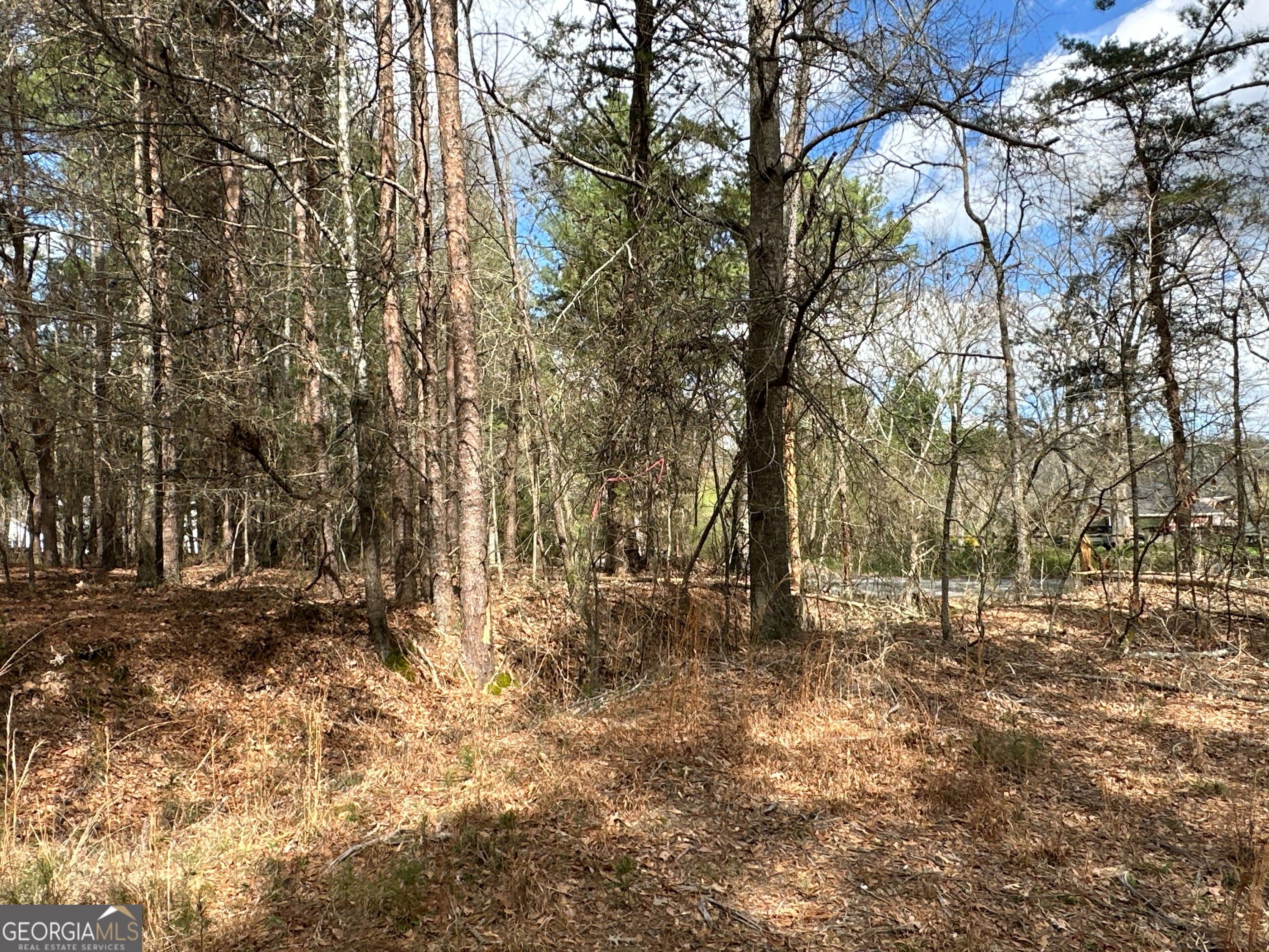 0 Popham Road, Unit TRACT 3 Taylorsville, GA 30178 - Photo 18 of 25