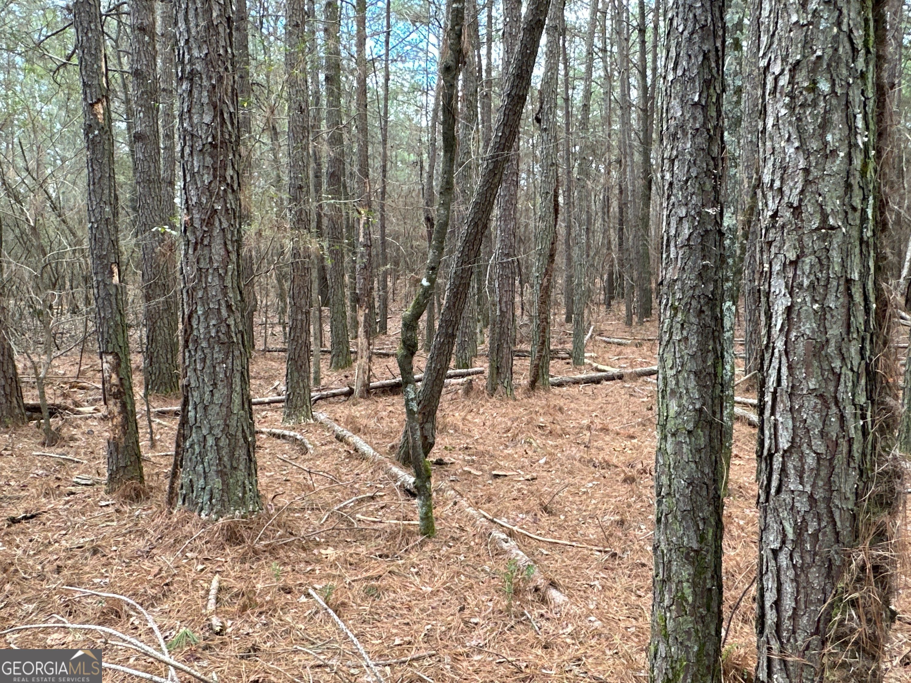 0 Popham Road, Unit TRACT 3 Taylorsville, GA 30178 - Photo 19 of 25