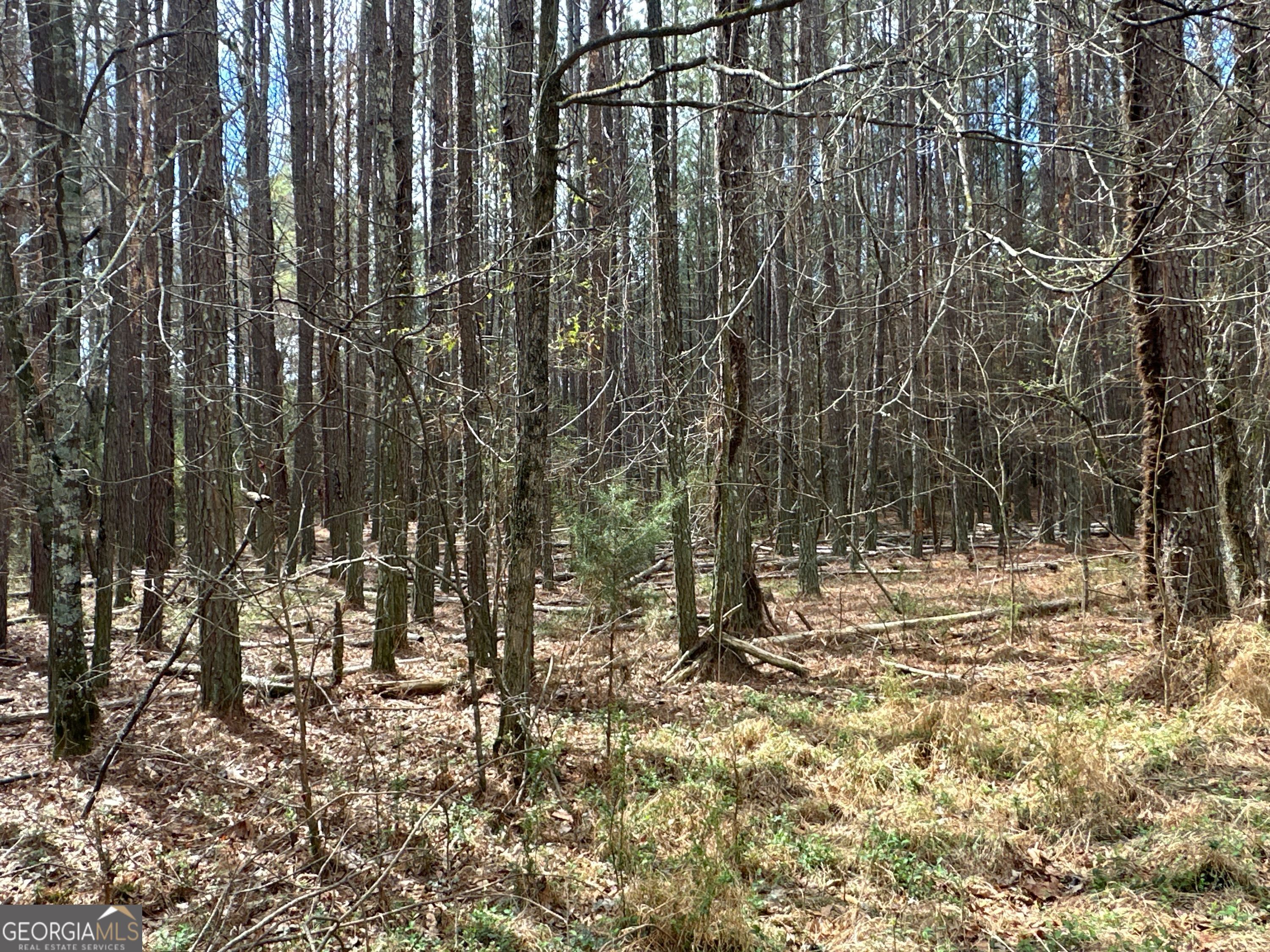 0 Popham Road, Unit TRACT 3 Taylorsville, GA 30178 - Photo 20 of 25