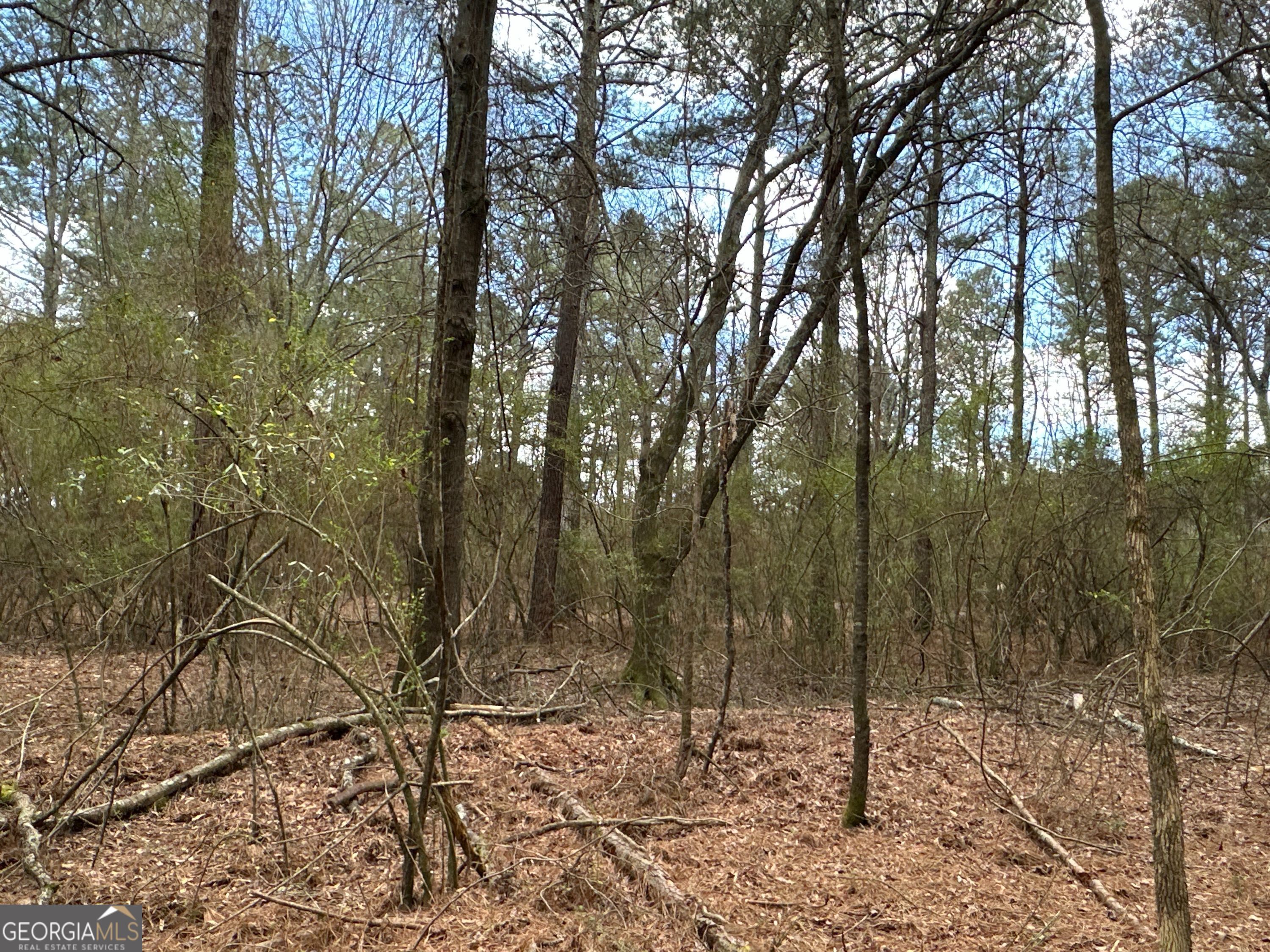 0 Popham Road, Unit TRACT 3 Taylorsville, GA 30178 - Photo 22 of 25