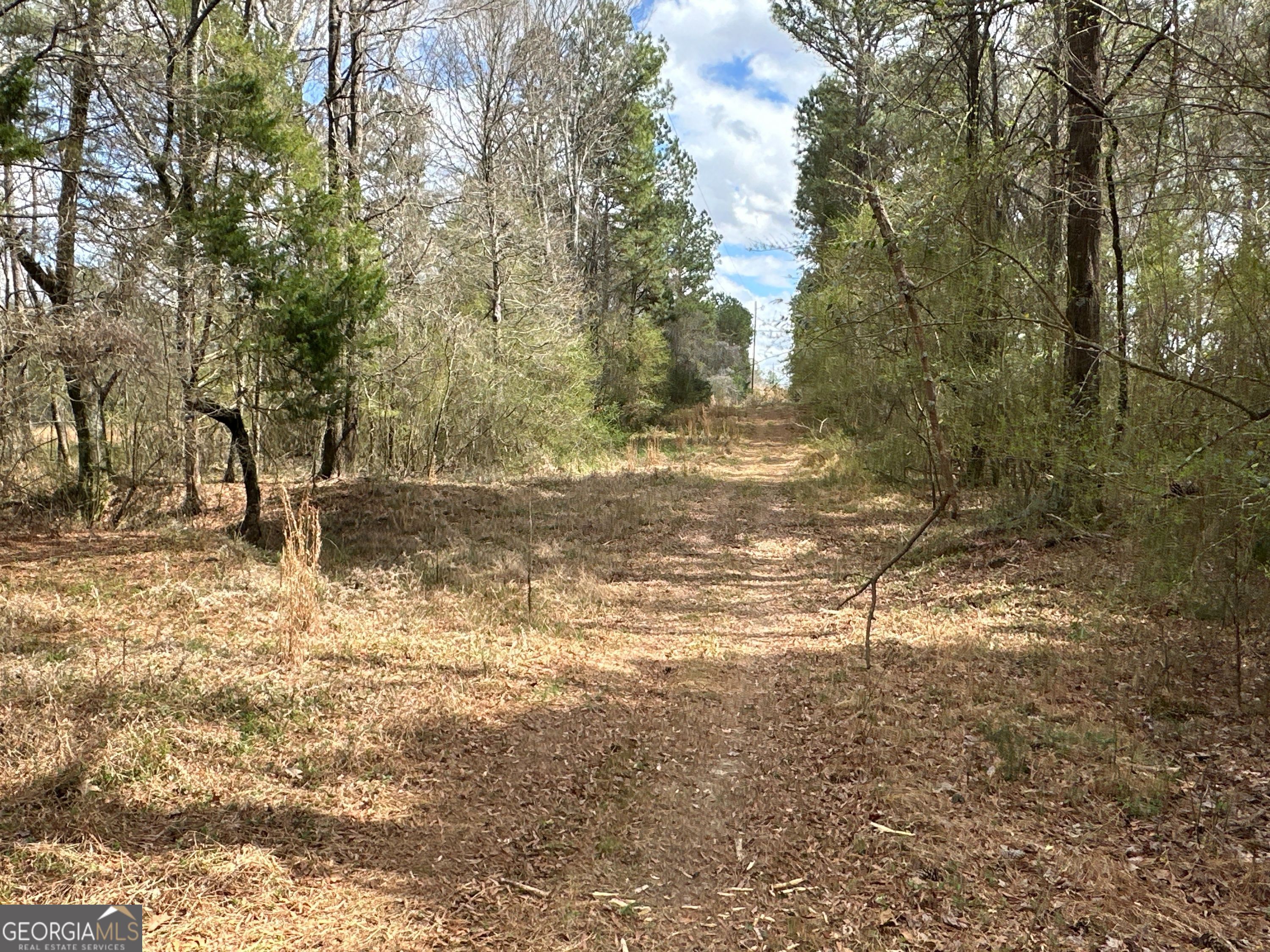 0 Popham Road, Unit TRACT 3 Taylorsville, GA 30178 - Photo 23 of 25