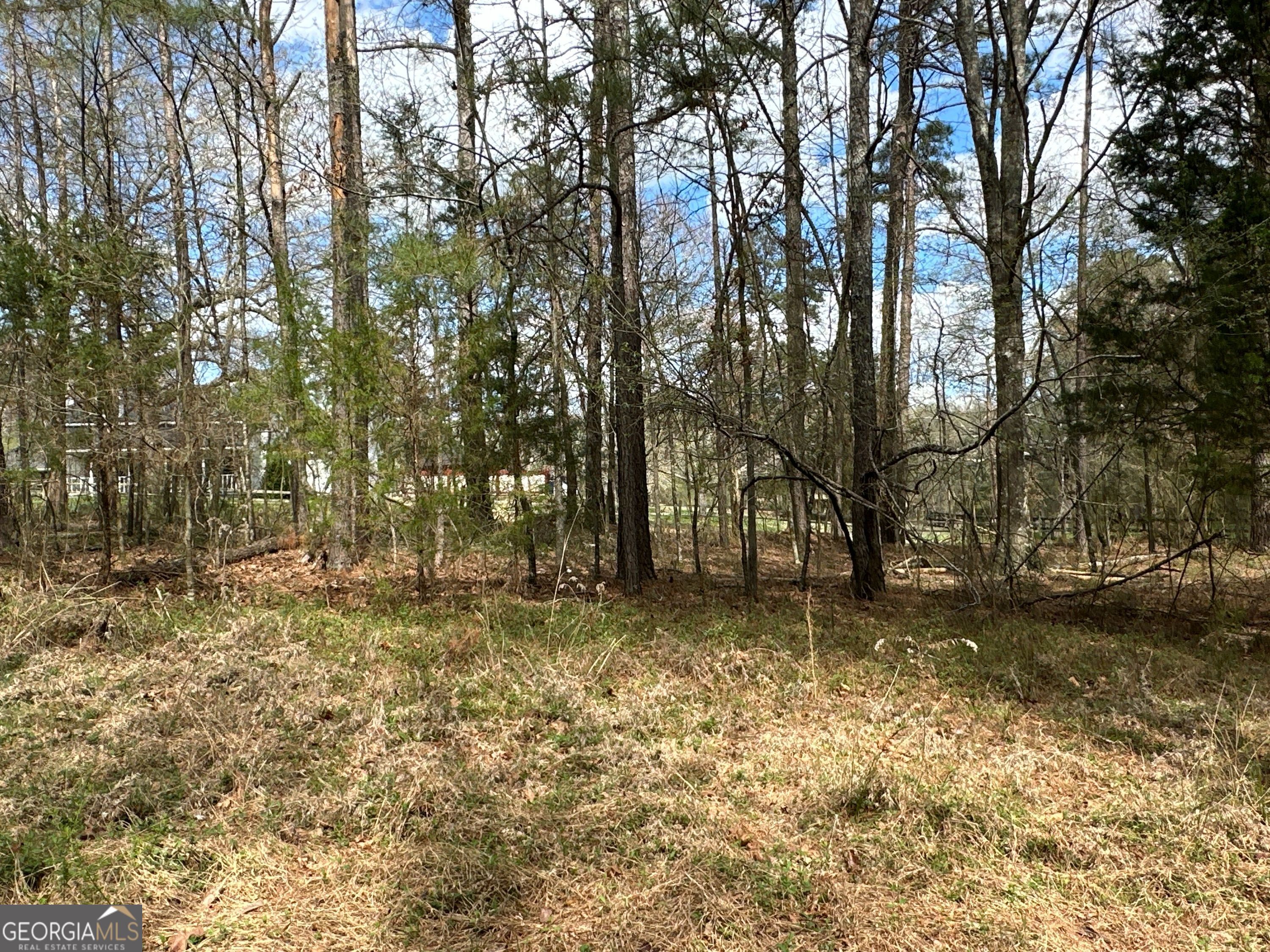 0 Popham Road, Unit TRACT 3 Taylorsville, GA 30178 - Photo 24 of 25