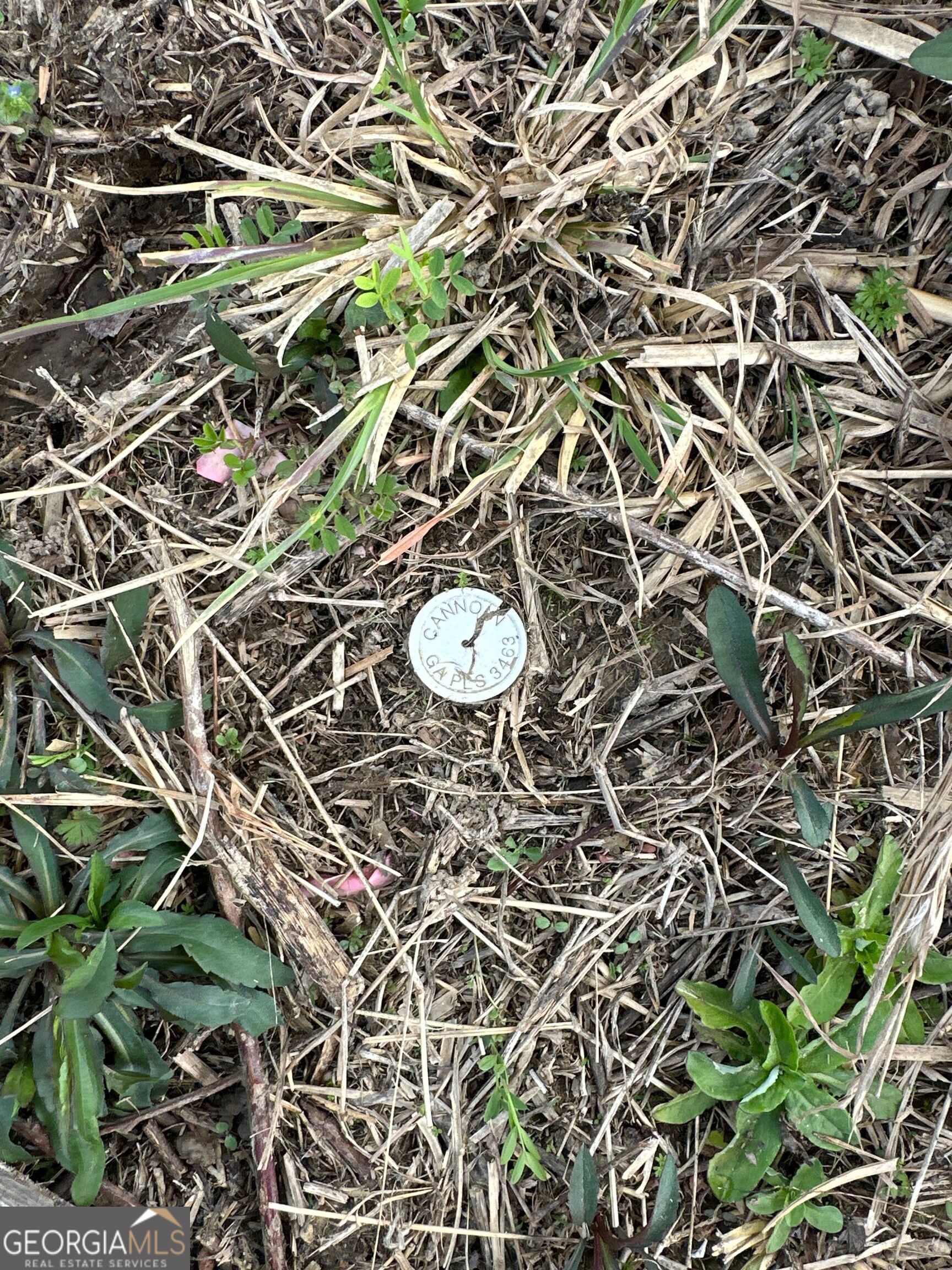 0 Popham Road, Unit TRACT 3 Taylorsville, GA 30178 - Photo 25 of 25