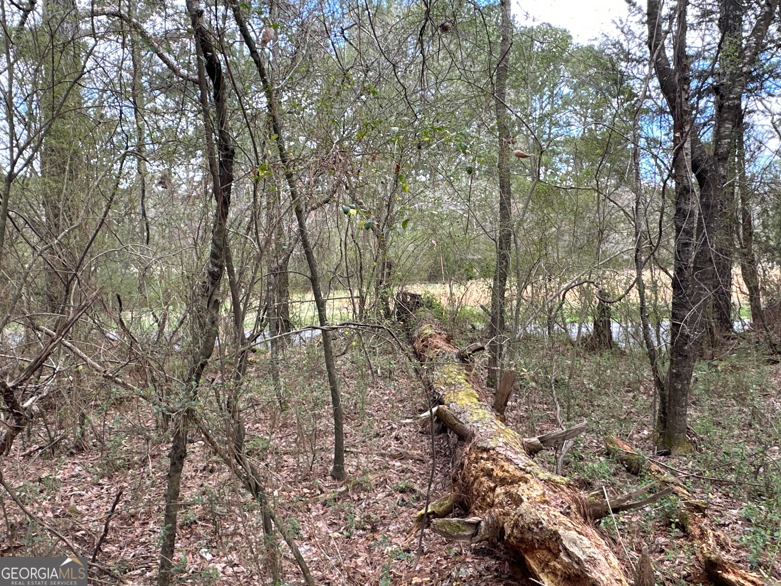 0 Popham Road, Unit TRACT 3 Taylorsville, GA 30178 - Photo 7 of 25