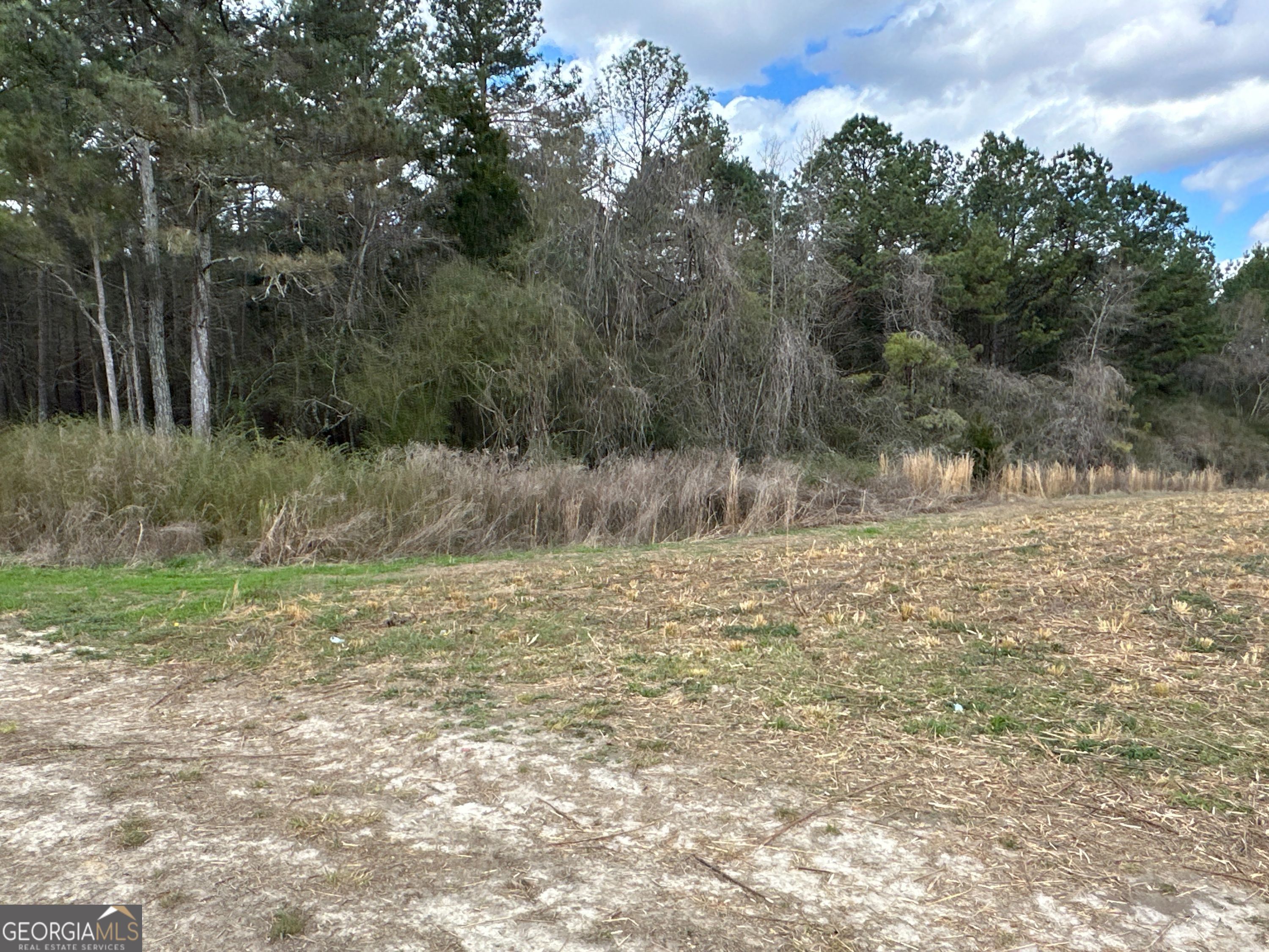 0 Popham Road, Unit TRACT 3 Taylorsville, GA 30178 - Photo 8 of 25