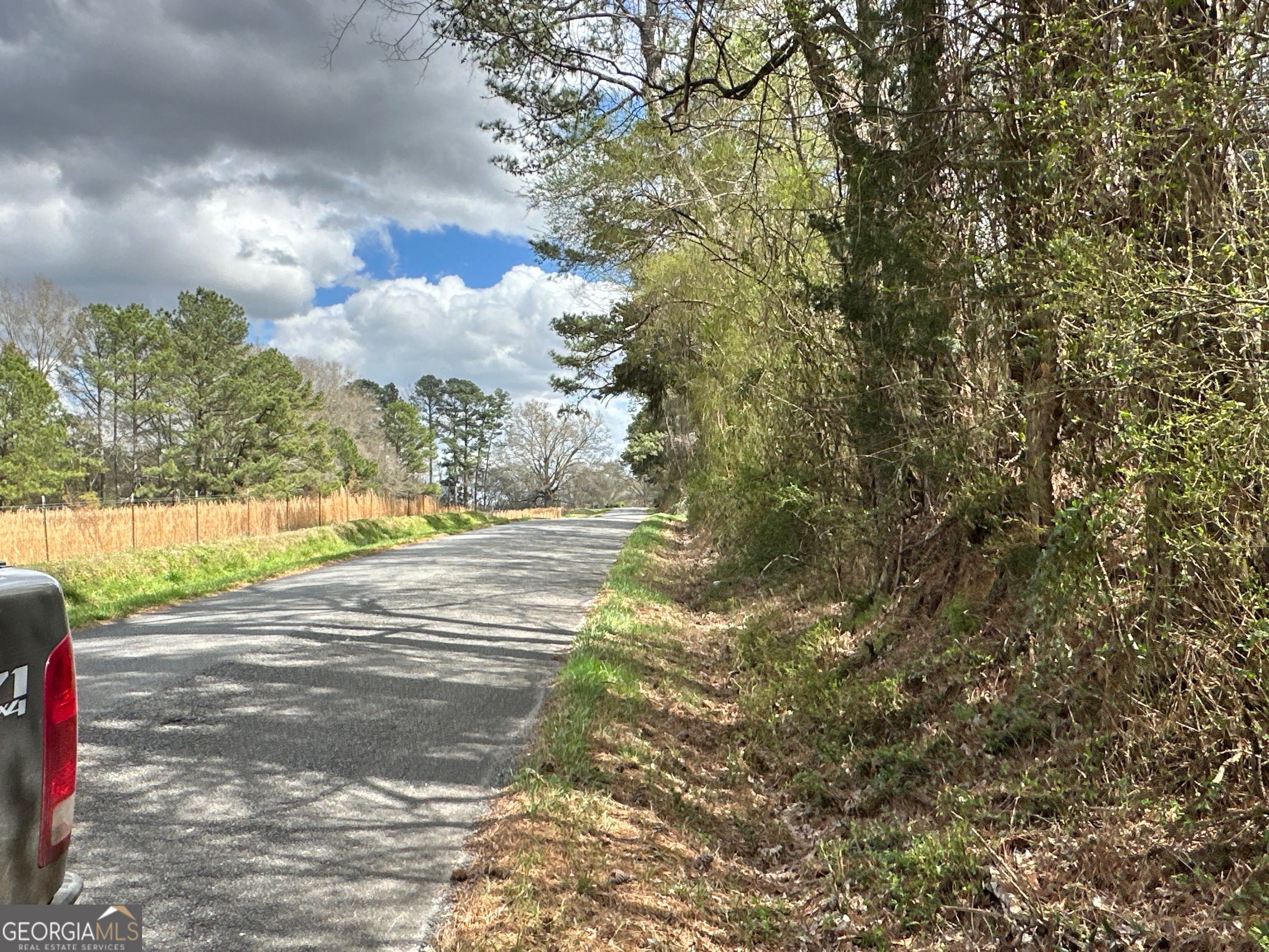 0 Popham Road, Unit TRACT 3 Taylorsville, GA 30178 - Photo 10 of 25