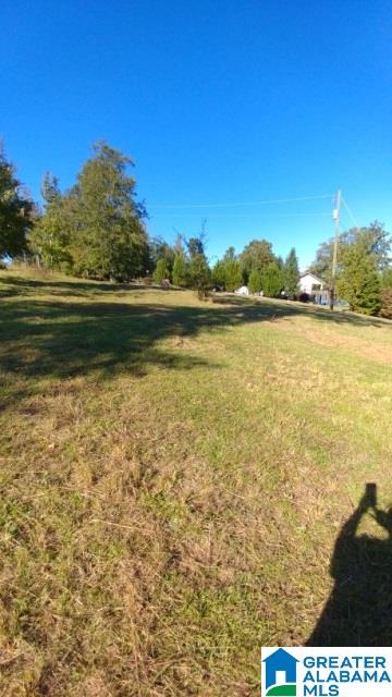 160 Holiday Estates Road, Unit 1 Ashville, AL 35953 - Photo 2 of 11