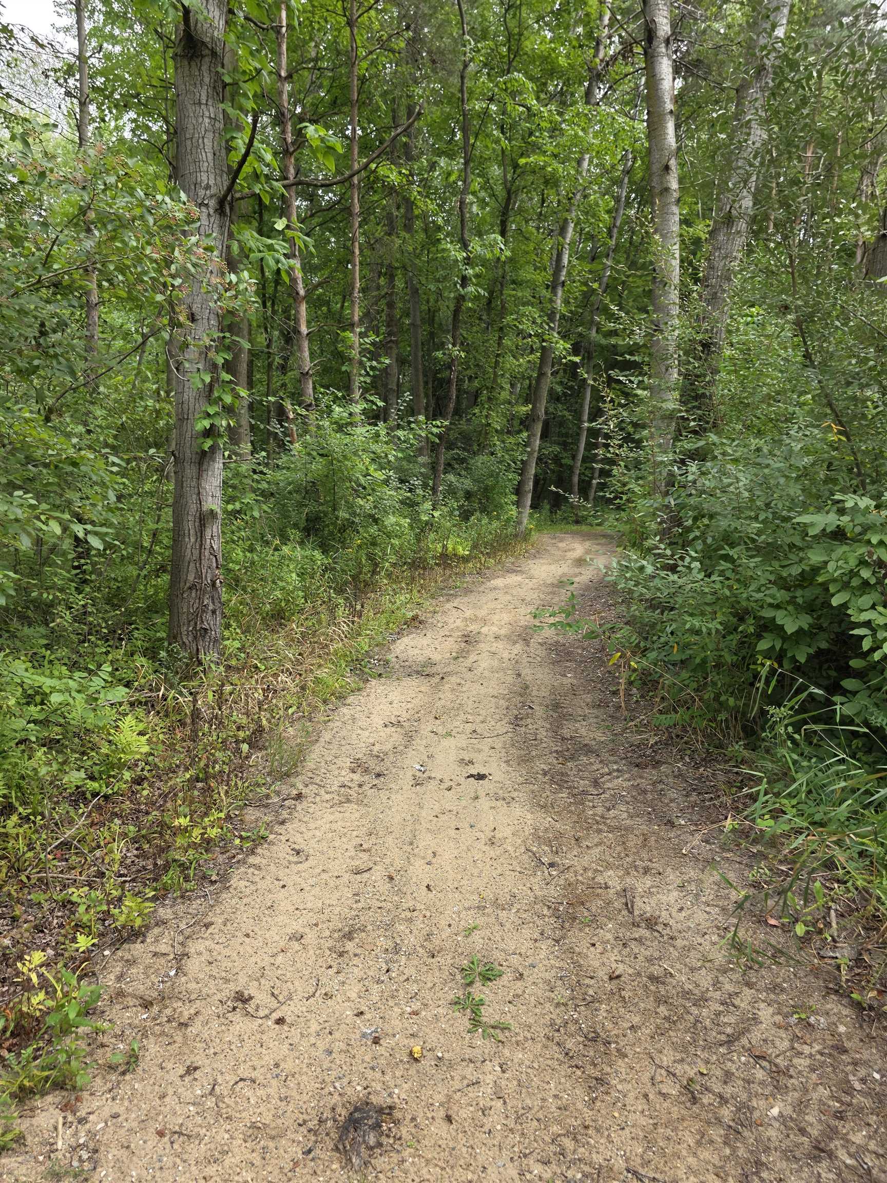5277 South Wise Road Shepherd, MI 48883 - Photo 30 of 39 1950027-d3abf0e5-fd40-4a8c-b18e-7b672c277c05.JPG