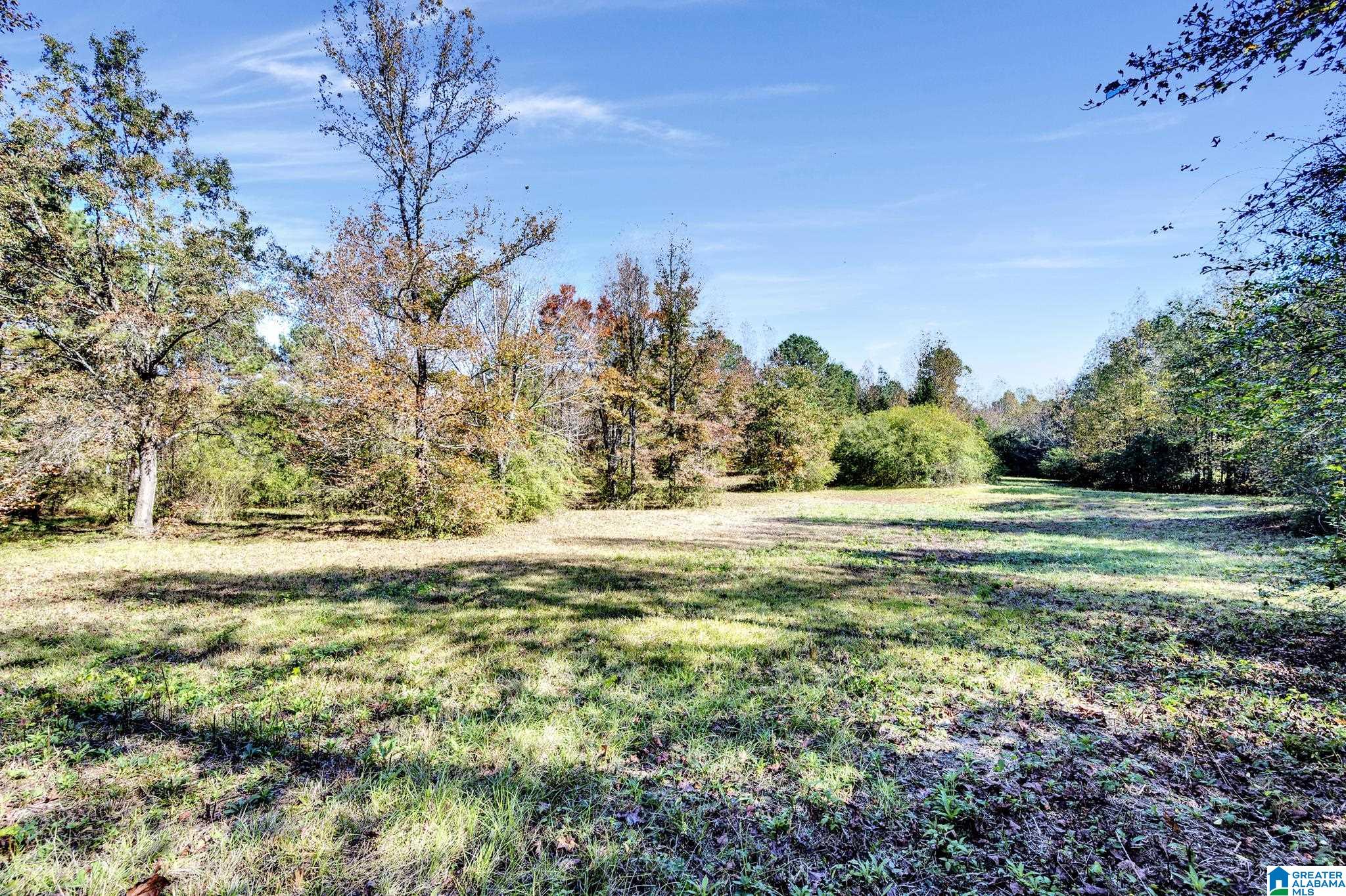 9733 Bankston Road Dora, AL 35062 - Photo 38 of 40
