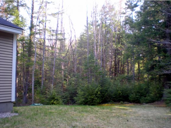 67 Union Wharf Road Tuftonboro, NH 03853 - Photo 4 of 25 Gallery Image 4