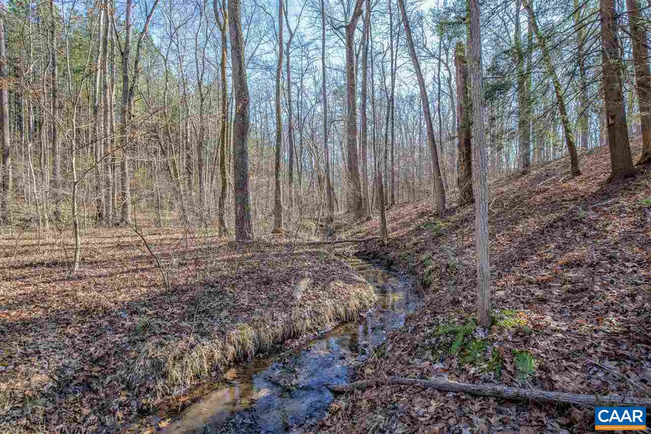 0 River Road West Goochland, VA 23063 - Photo 2 of 14