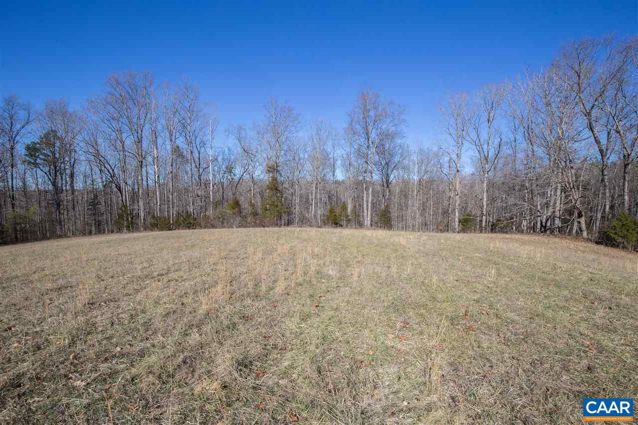 0 River Road West Goochland, VA 23063 - Photo 12 of 14