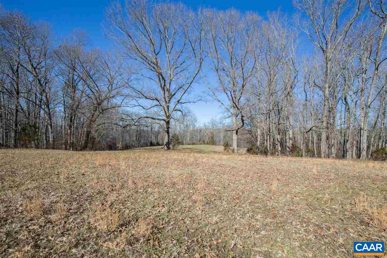 0 River Road West Goochland, VA 23063 - Photo 7 of 14