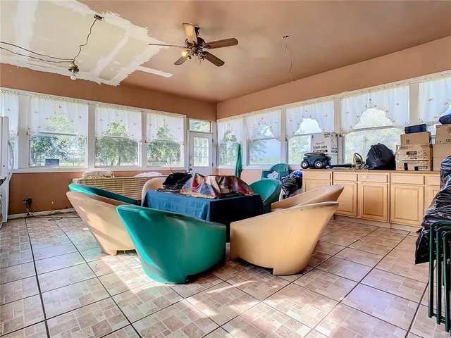 a view of a park with large trees