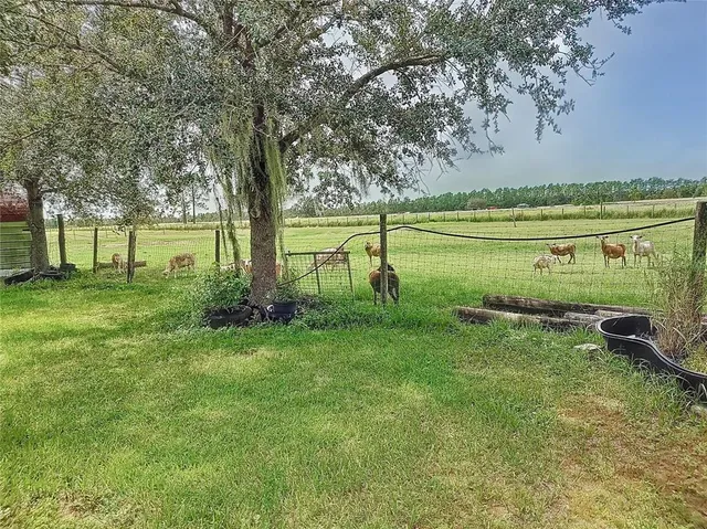 a view of a green field with trees in the background
