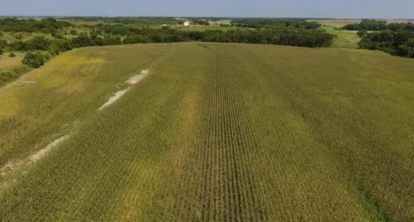 a view of an ocean from a yard