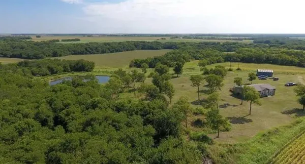 a view of a city with lush green forest