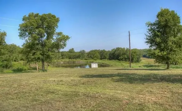 a view of a grassy area with an trees