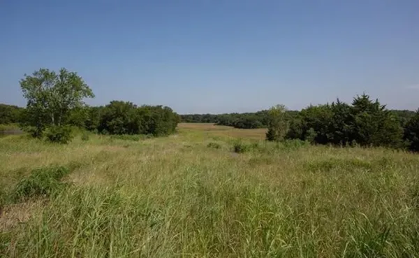 a view of a field of grass and trees