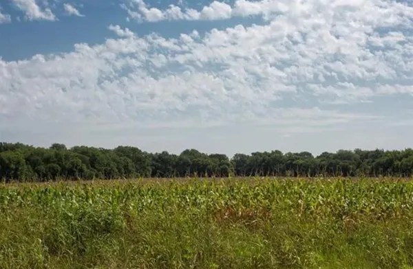 a view of lake with mountain in background