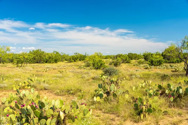 a view of an ocean beach