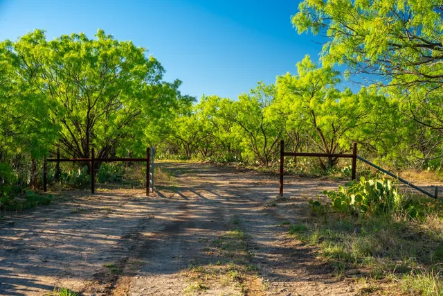 a view of an ocean beach