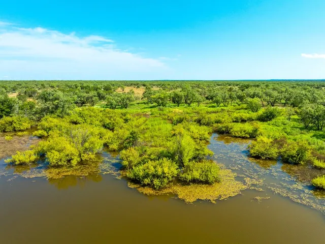 a view of a big yard and green space
