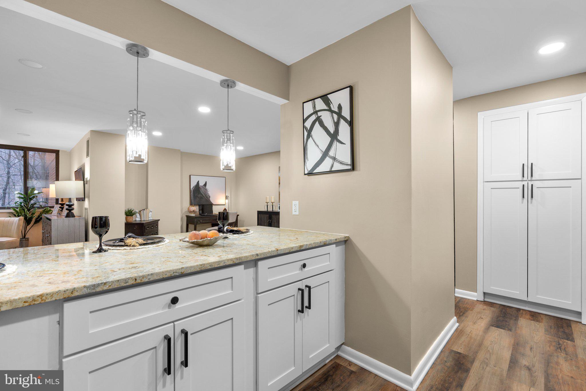 111 Hamlet Hill Road, Unit 413 Baltimore, MD 21210 - Photo 16 of 50 ...granite counters...