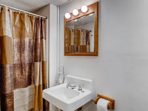 512 Porter Street, Unit B Lemont, IL 60439 - Photo 13 of 22 a bathroom with a sink a mirror and a shower