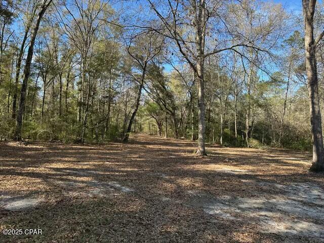 3511 Pipkin Road Bonifay, FL 32425 - Photo 35 of 46 Gallery Image 35