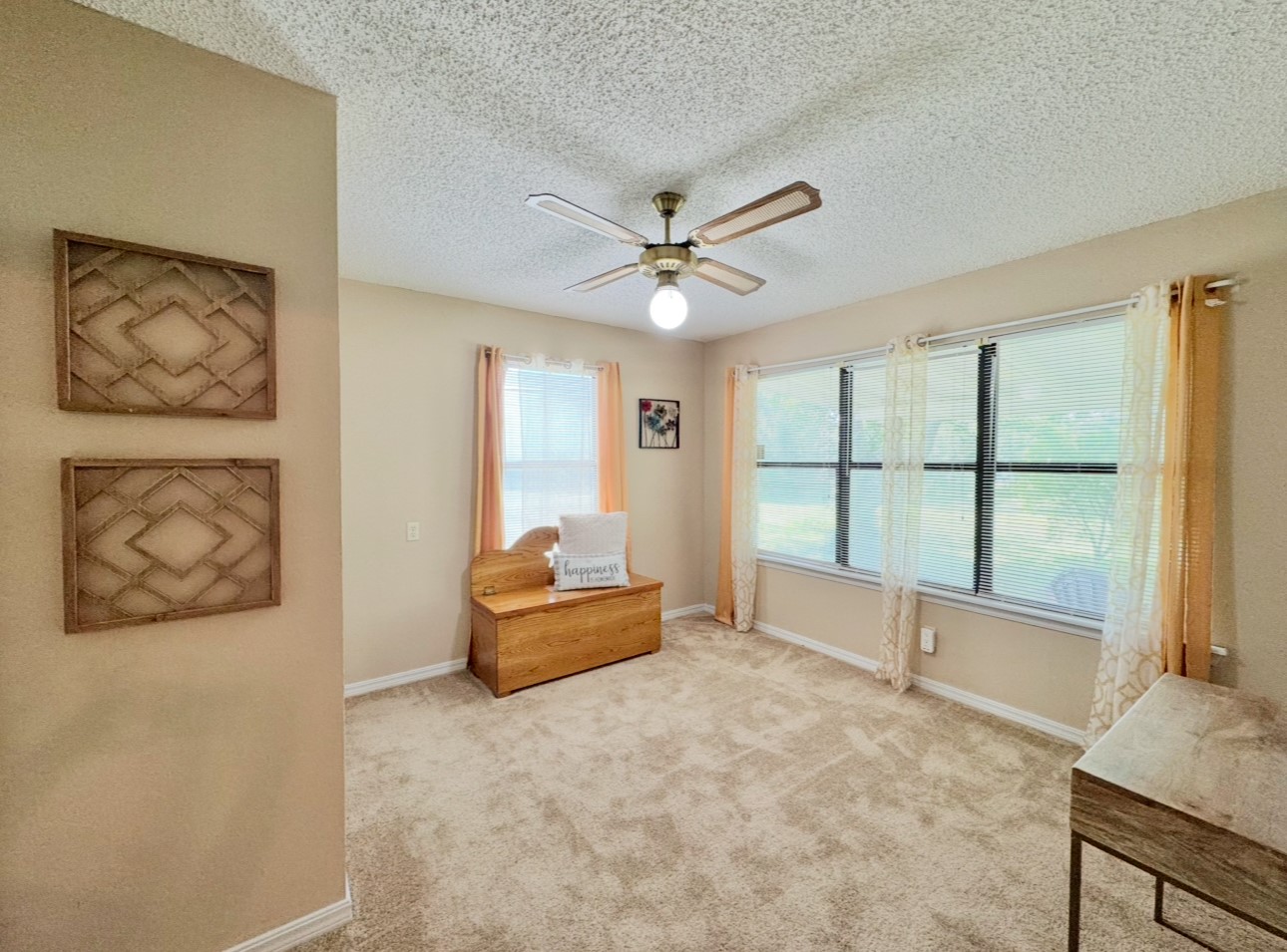702 Pleasant Grove Road Elgin, TX 78621 - Photo 14 of 38 Living area with ceiling fan, a textured ceiling, and carpet