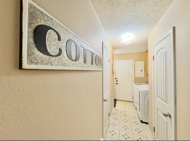 a view of backyard with potted plants and large tree