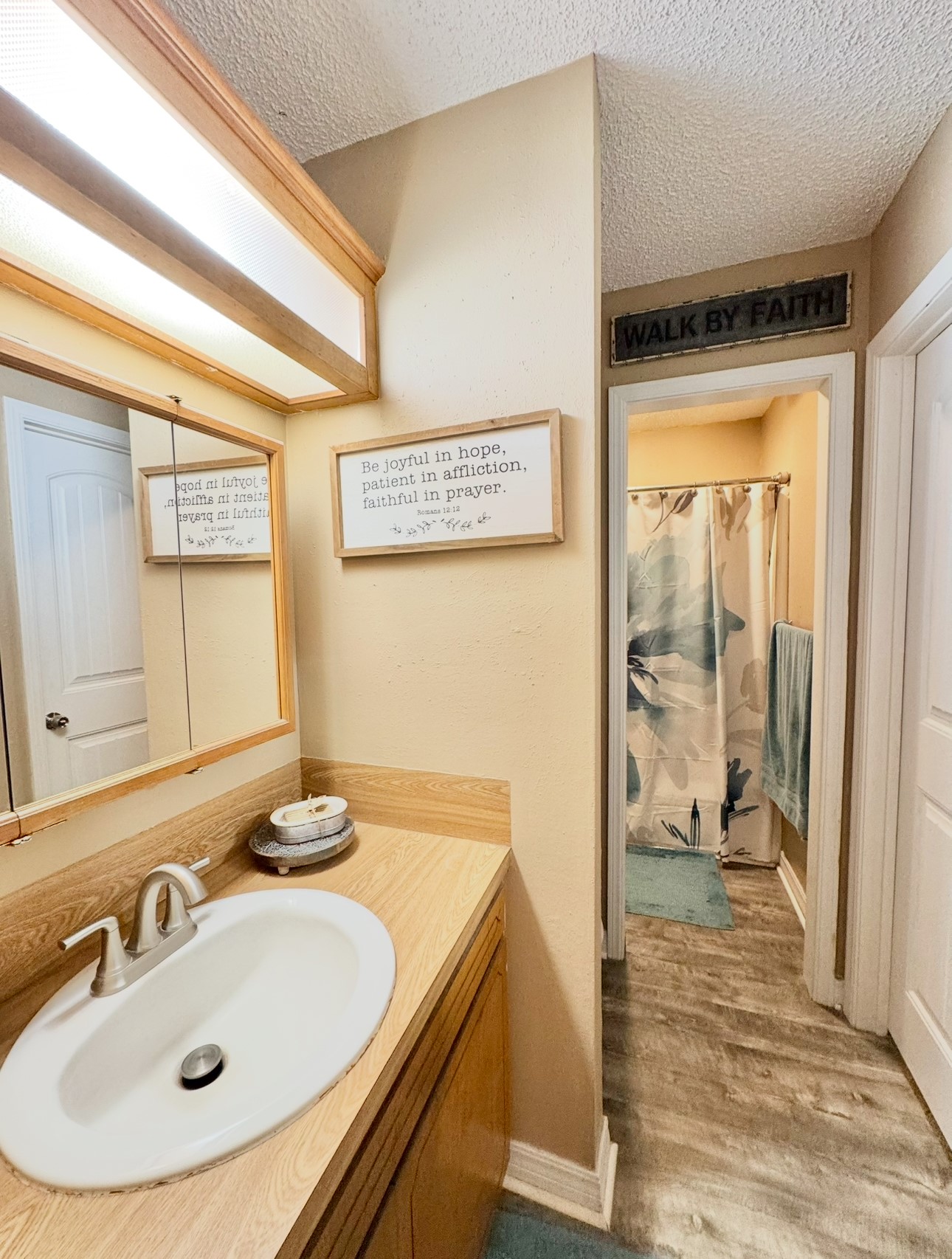 702 Pleasant Grove Road Elgin, TX 78621 - Photo 25 of 38 Bathroom with vanity, a textured ceiling, and wood finished floors