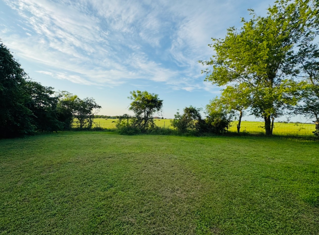 702 Pleasant Grove Road Elgin, TX 78621 - Photo 30 of 38 View of green lawn with a rural view