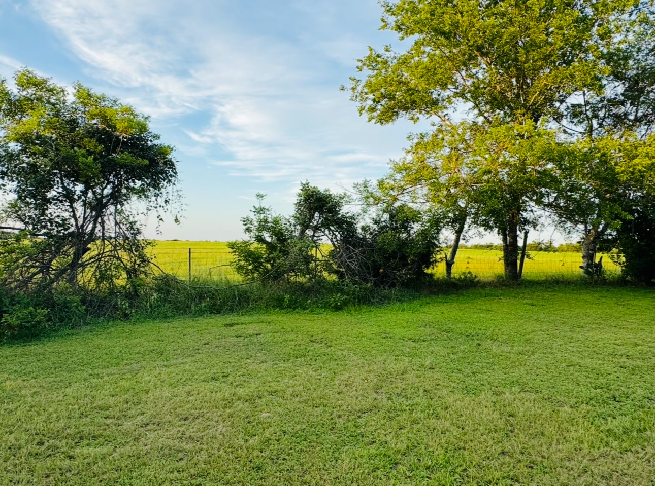 702 Pleasant Grove Road Elgin, TX 78621 - Photo 31 of 38 View of grassy yard featuring a view of rural / pastoral area