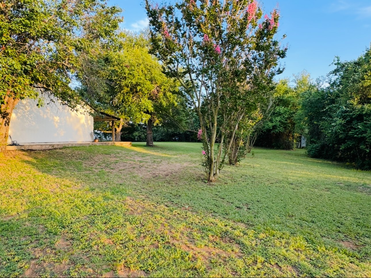 702 Pleasant Grove Road Elgin, TX 78621 - Photo 32 of 38 View of green lawn