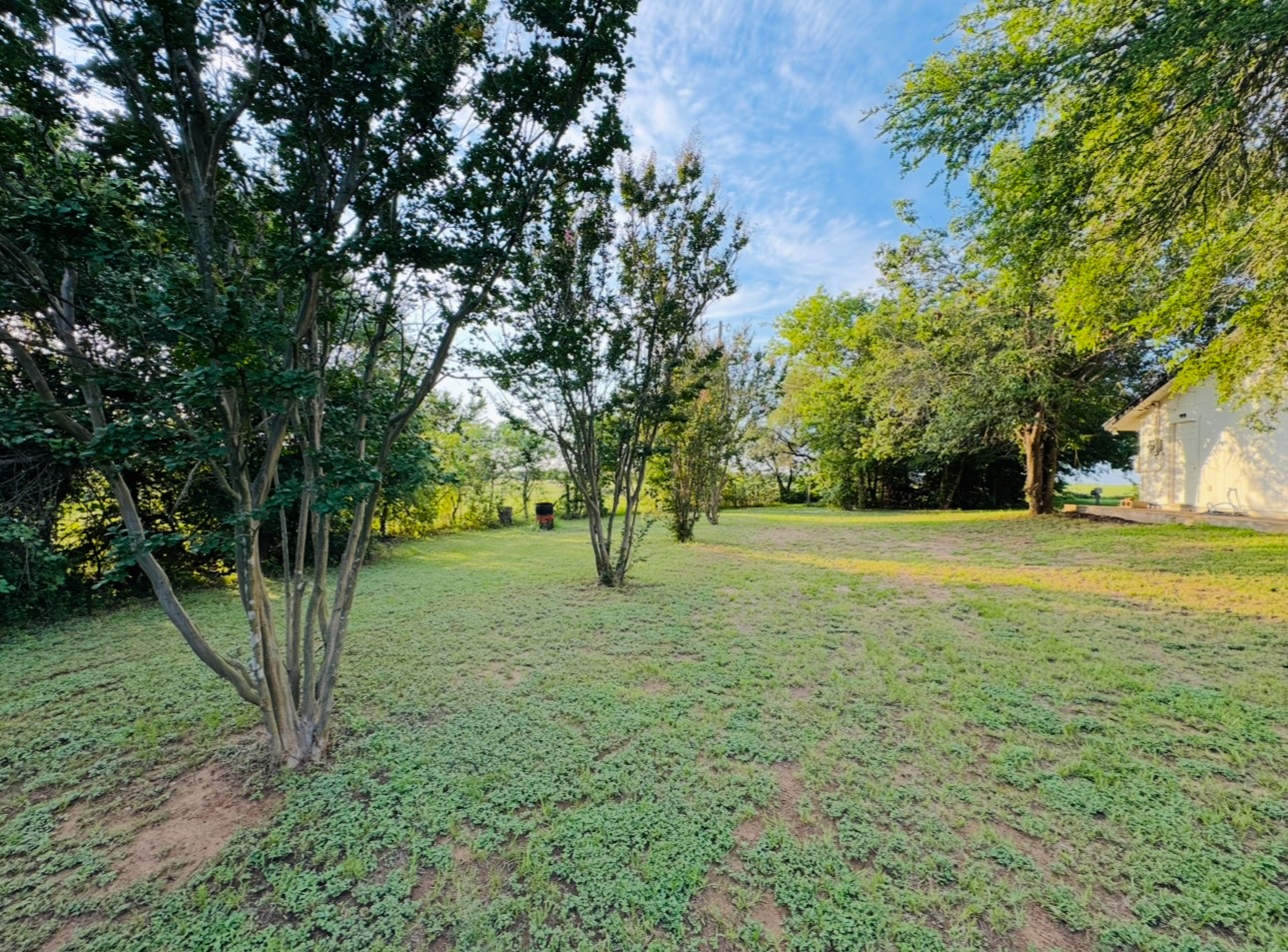 702 Pleasant Grove Road Elgin, TX 78621 - Photo 33 of 38 View of grassy yard