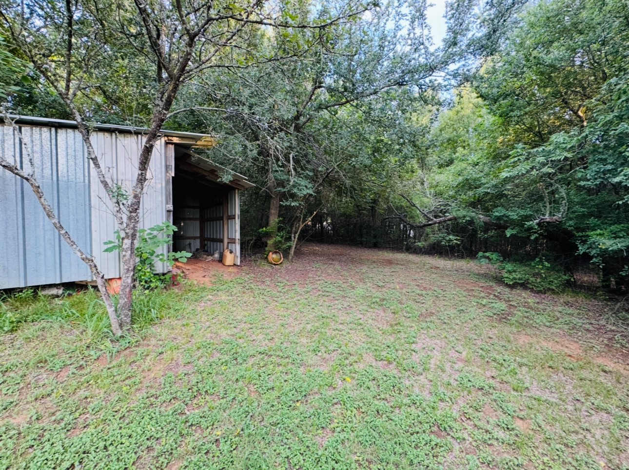 702 Pleasant Grove Road Elgin, TX 78621 - Photo 34 of 38 View of yard with an outdoor structure