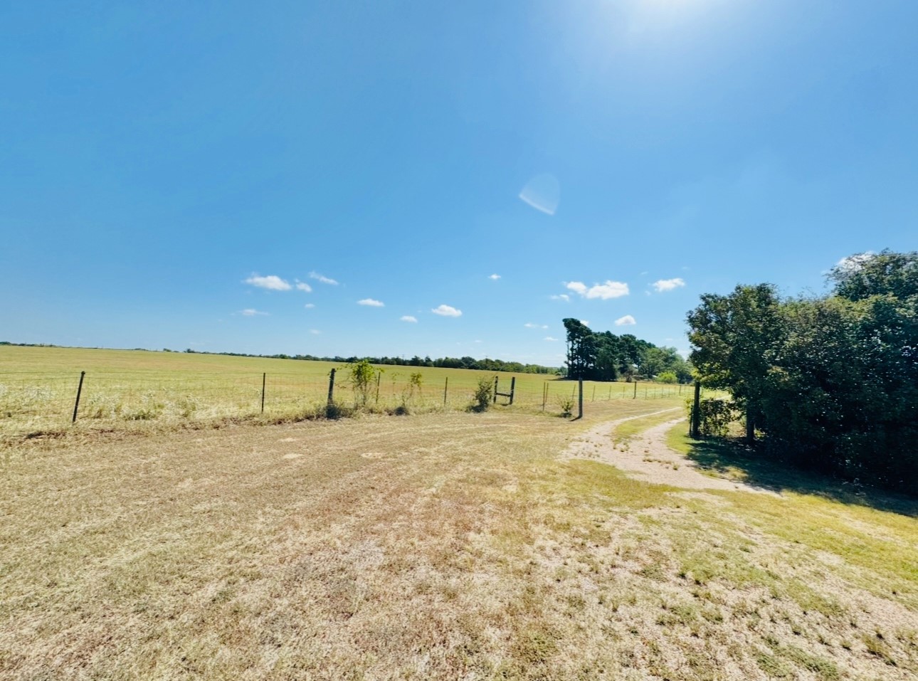 702 Pleasant Grove Road Elgin, TX 78621 - Photo 36 of 38 View of yard with a rural view