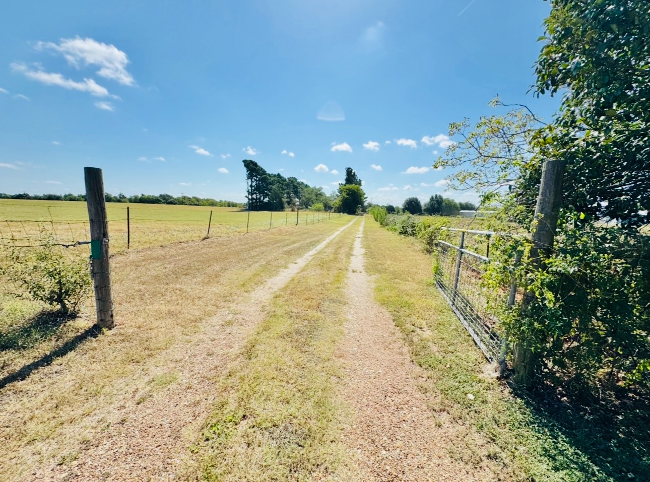 702 Pleasant Grove Road Elgin, TX 78621 - Photo 37 of 38 View of entry road with a view of countryside