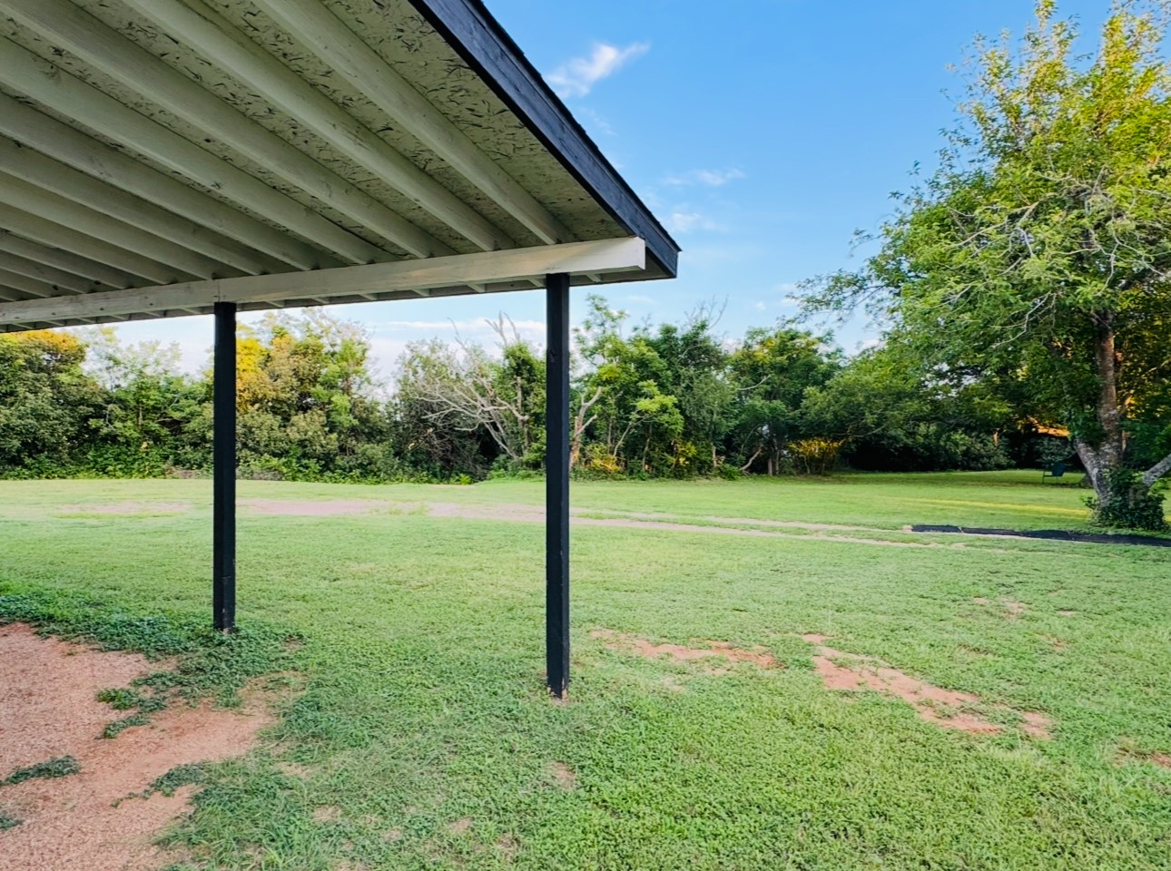 702 Pleasant Grove Road Elgin, TX 78621 - Photo 5 of 38 View of green lawn featuring view of wooded area