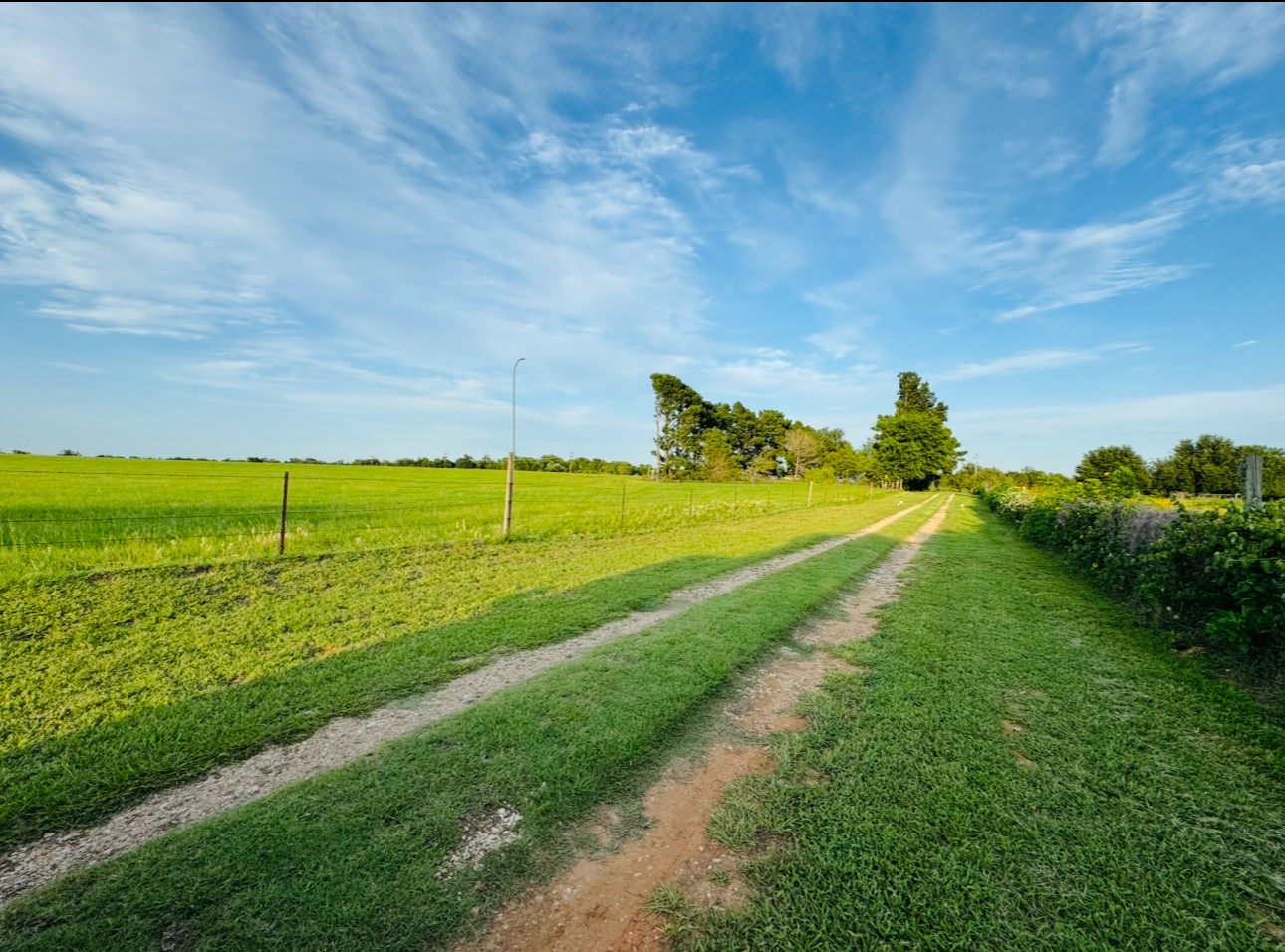 702 Pleasant Grove Road Elgin, TX 78621 - Photo 6 of 38