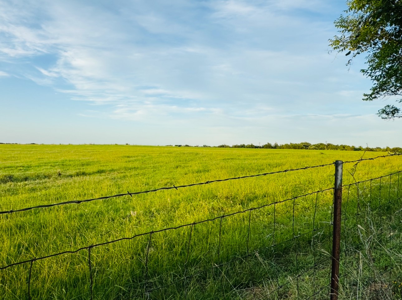 702 Pleasant Grove Road Elgin, TX 78621 - Photo 7 of 38 View of yard with a rural view
